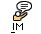 IM